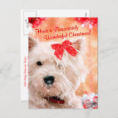 Westhochland-weißes Terrier-Weihnachtswünsche Feiertagspostkarte (Vorne/Hinten)
