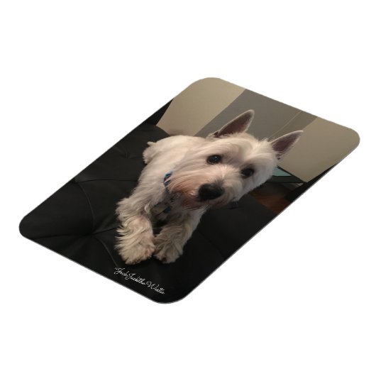 Westie 3"x4" Foto Magnet (Linke Seite)