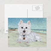 Westie am Strand Postkarte (Vorne/Hinten)