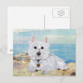Westie am Strand Postkarte (Vorne/Hinten)
