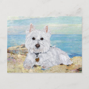 Westie am Strand Postkarte