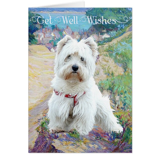 Westie an der Küste (Vorne)