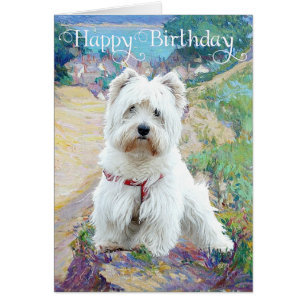 Westie an der Küste