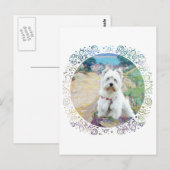 Westie an der Küste Postkarte (Vorne/Hinten)