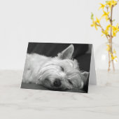 Westie Asleep Karte (Gelbe Blume)