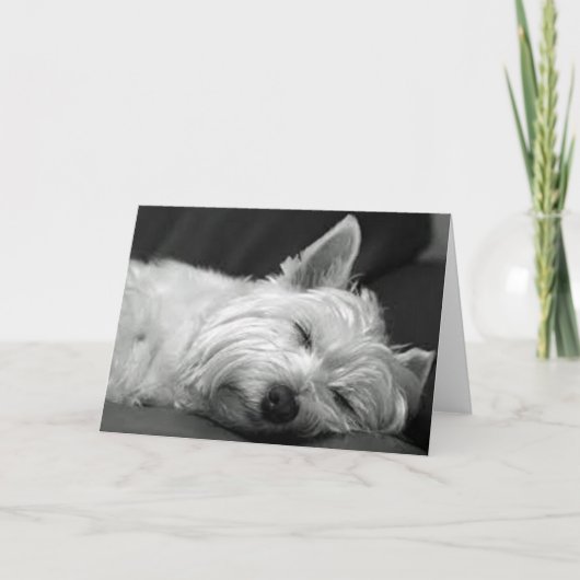 Westie Asleep Karte (Vorderseite)