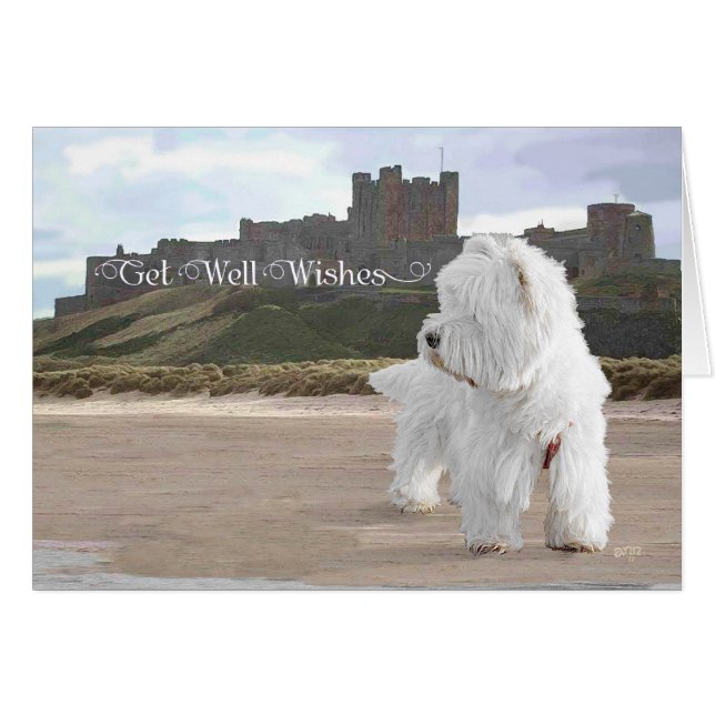 Westie at Bamburgh Castle (Vorderseite (Horizontal))