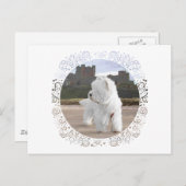 Westie at Bamburgh Castle Postkarte (Vorne/Hinten)