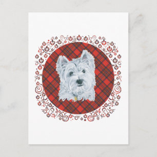 Westie auf Tartan Postkarte