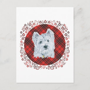 Westie auf Tartan Postkarte