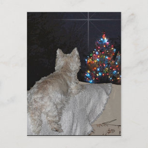 WESTIE CHRISTMAS AWE FEIERTAGSPOSTKARTE