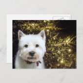 Westie Christmas Feiertagspostkarte (Vorne/Hinten)