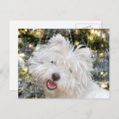 Westie Christmas Feiertagspostkarte (Vorne/Hinten)