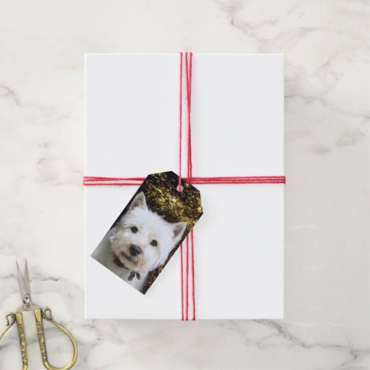 Westie Christmas Geschenkanhänger (Mit Garn)