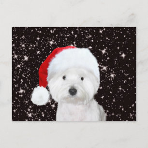 Westie Christmas Postkarte