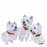 Westie Conference Freistehende Fotoskulptur<br><div class="desc">Drei West Highland White Terriers, schauen Sie sich die Locale an und entscheiden Sie, was Sie als Nächstes tun sollen. . . Du weißt, dass es eine Menge Spaß gibt, was Three Westies in der riesigen Welt erleben kann! Spaß Westies auf Kleidung, Haushalt und Geschenkartikeln für sich selbst oder für...</div>