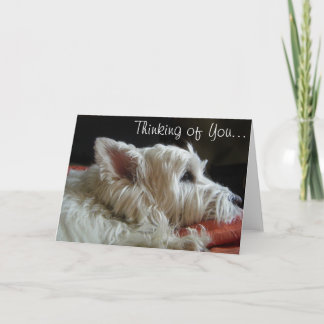 Westie, das an Sie Foto-Gruß-Karte denkt Karte