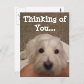 Westie Denken Sie an Ihr Foto Postkarte (Vorne/Hinten)