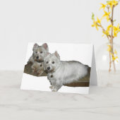 Westie Desi and Lucy Karte (Gelbe Blume)