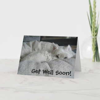 Westie erhalten wohle bald Foto-Gruß-Karte Karte
