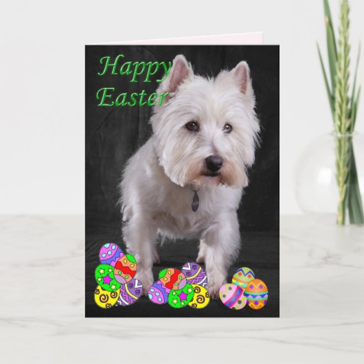 Westie fröhliche Ostern Feiertagskarte (Vorderseite)