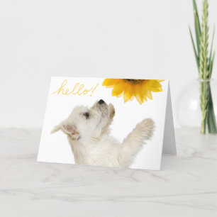 Westie Hello Blank Notecard Karte