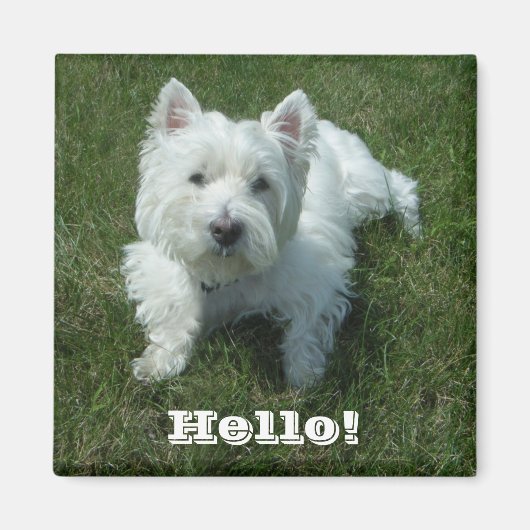 Westie Hello Foto Magnet (Vorne)