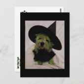 Westie - Hexe der Götter Postkarte (Vorne/Hinten)