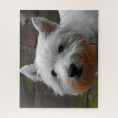Westie Hogs Jigsaws. Puzzle (Vertikal)