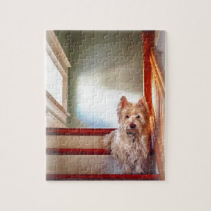 Westie Hund, der auf der Treppe, Vintager Blick Puzzle