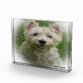 Westie Hund. Fotoblock (Rechts)