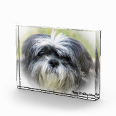 Westie Hund. Fotoblock (Rechts)