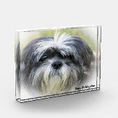 Westie Hund. Fotoblock (Links)