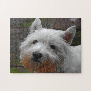Westie Hunde Puzzles. Puzzle