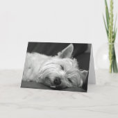 Westie Hundegeburtstags-Karte Karte (Rückseite)