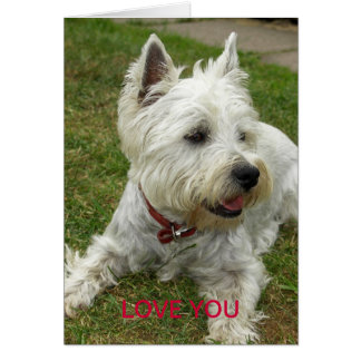 Westie Hundekarte
