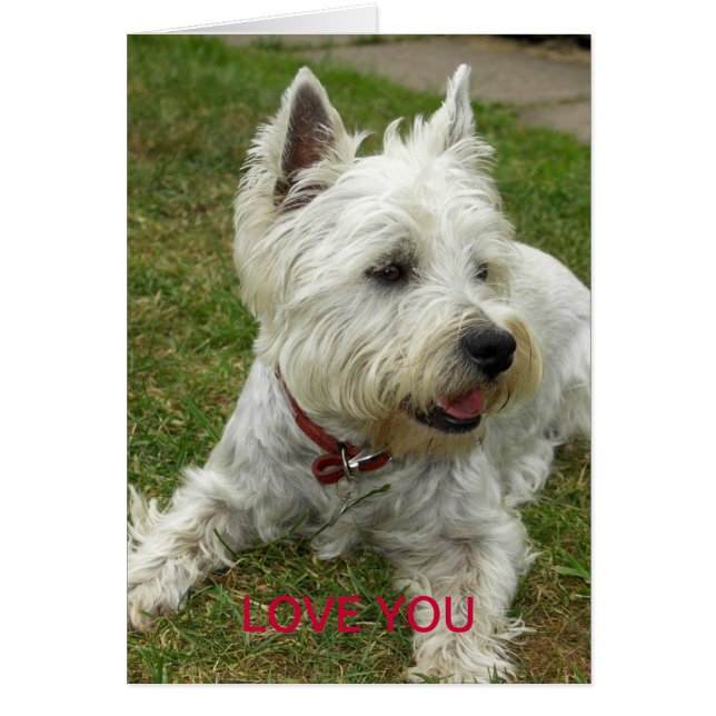 Westie Hundekarte (Vorne)