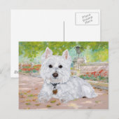 Westie im Park Postkarte (Vorne/Hinten)
