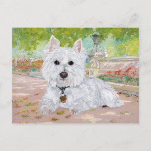 Westie im Park Postkarte