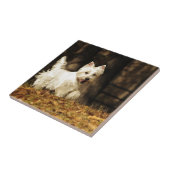 Westie in Bewegung Fliese (Seite)