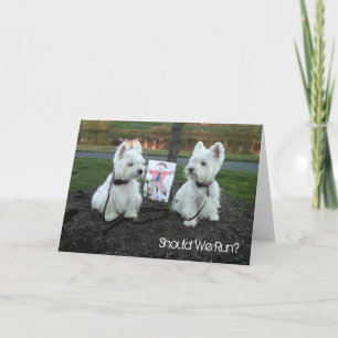 Westie Just for Fun Card "Should We Run?" Feiertagskarte