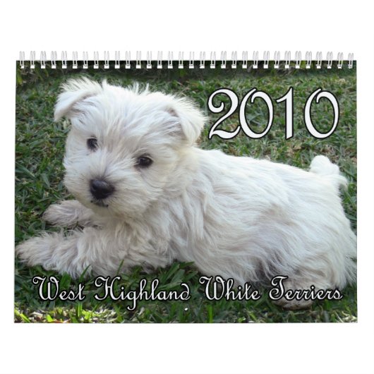Westie Kalender 2010 (Titelbild)