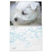 Westie Kalender 2010 (Feb 2027)