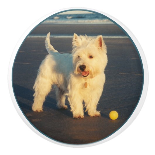 Westie Keramikknauf (Vorderseite)
