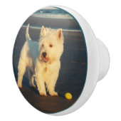 Westie Keramikknauf (Rechts)