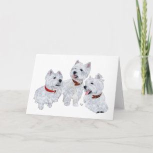 Westie-Konferenz Karte
