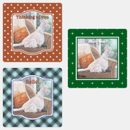 Westie Looking Out a Window Etiketten