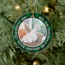 Westie Looking Out a Window