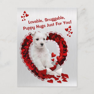 Westie Lovable Snuggable Puppy Hugs Valentine Feiertagspostkarte