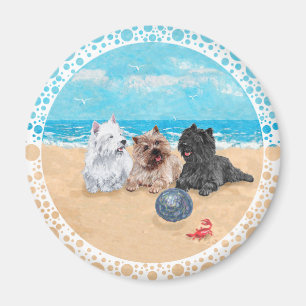 Westie mit Cairn Terriern am Strand Magnet